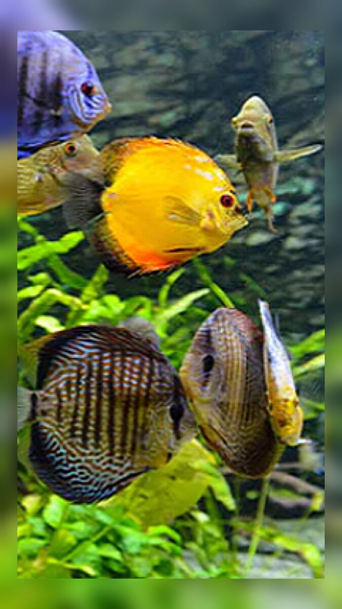 Фото с сайта https://clck.ru/VeQGx