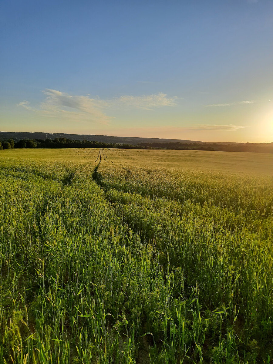 Немного фото для атмосферы. Все фото в статье автора