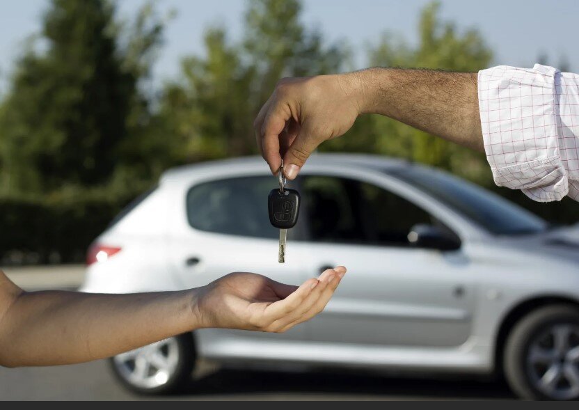 фото: Яндекс картинки