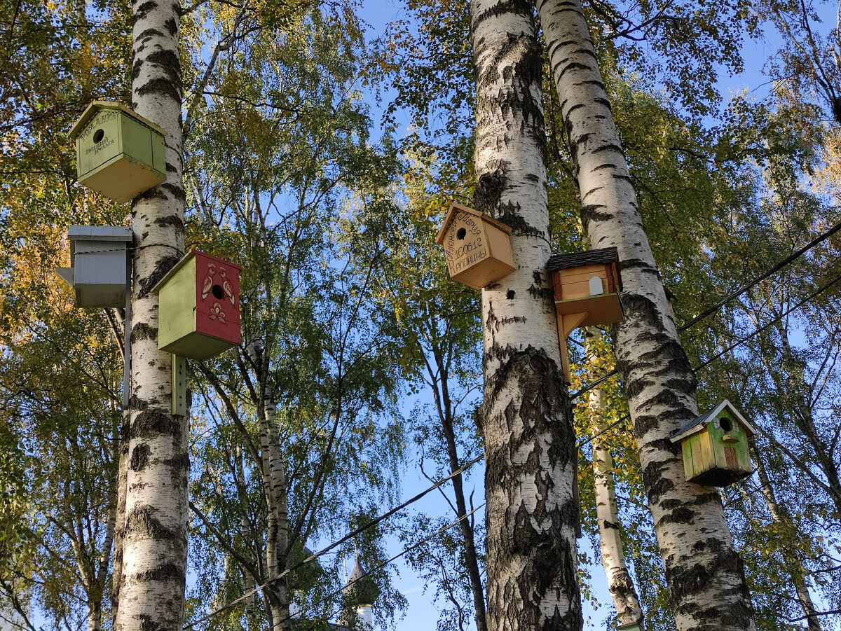 Новобрачные мастерят домики для птиц и украшают их по своему вкусу