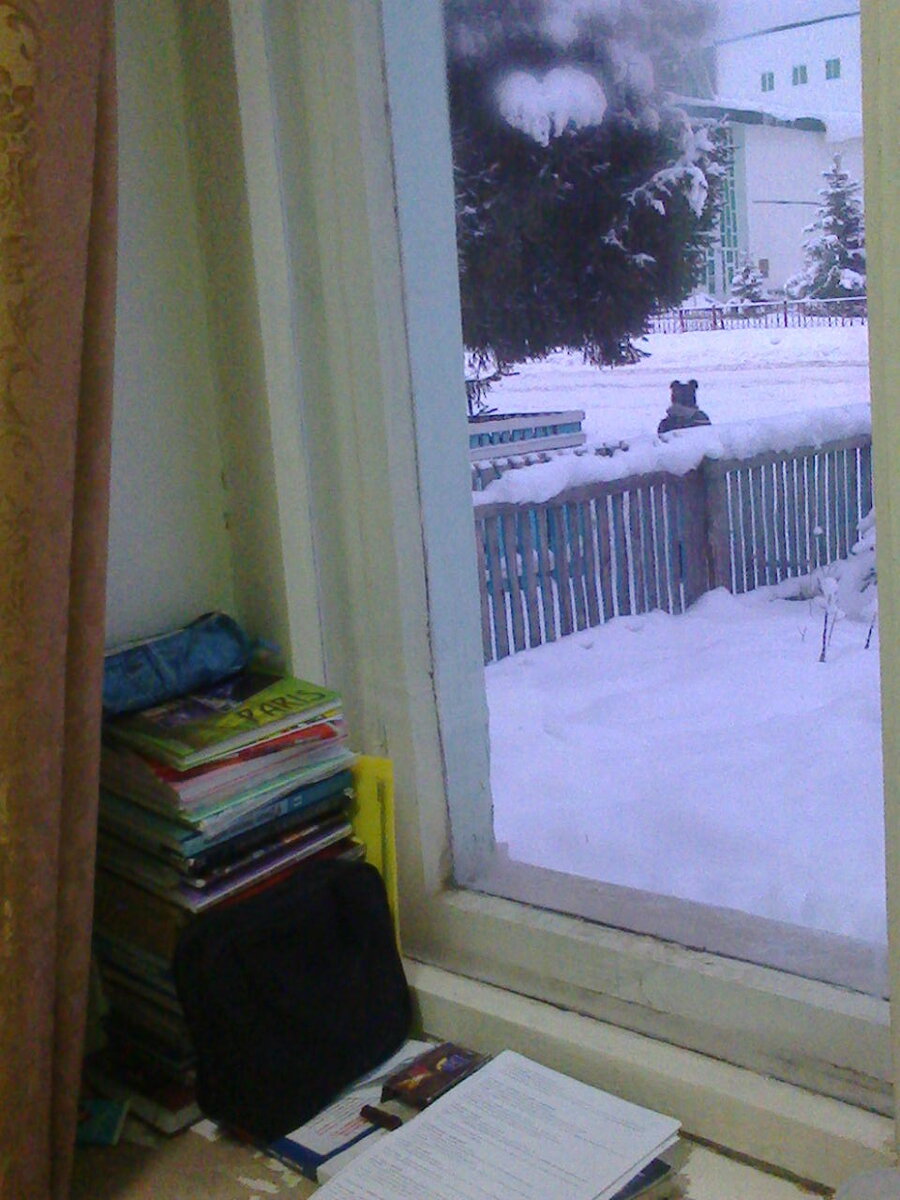 вы тоже видите сердечко на дереве?