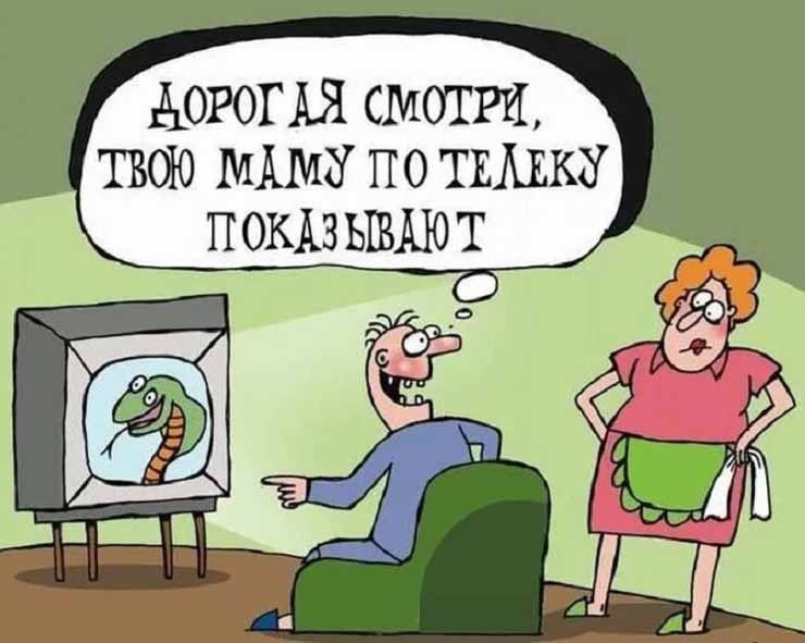 Фото взято на сайте http://anekdotbest.ru/teschy/anekdoty-pro-teshhu-stranica-5.html