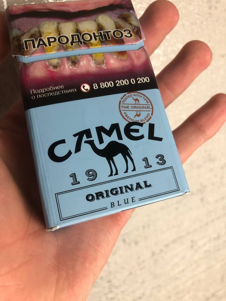 Camel original hotsell