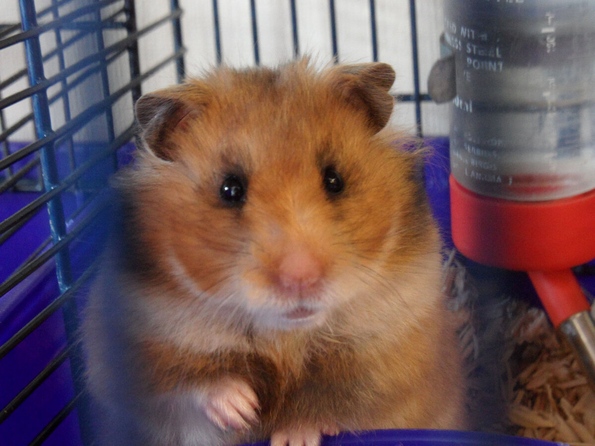 Меня фотографируют?