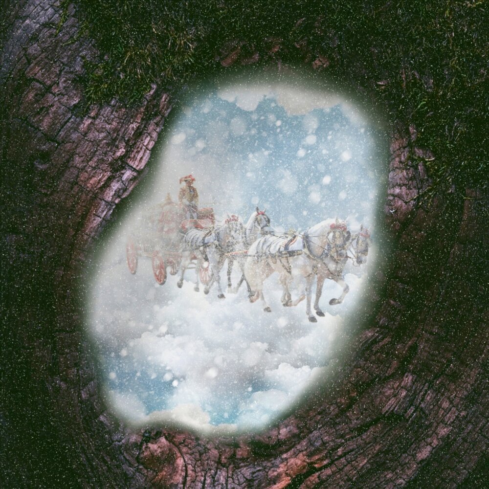 Сикамор — Дуплет