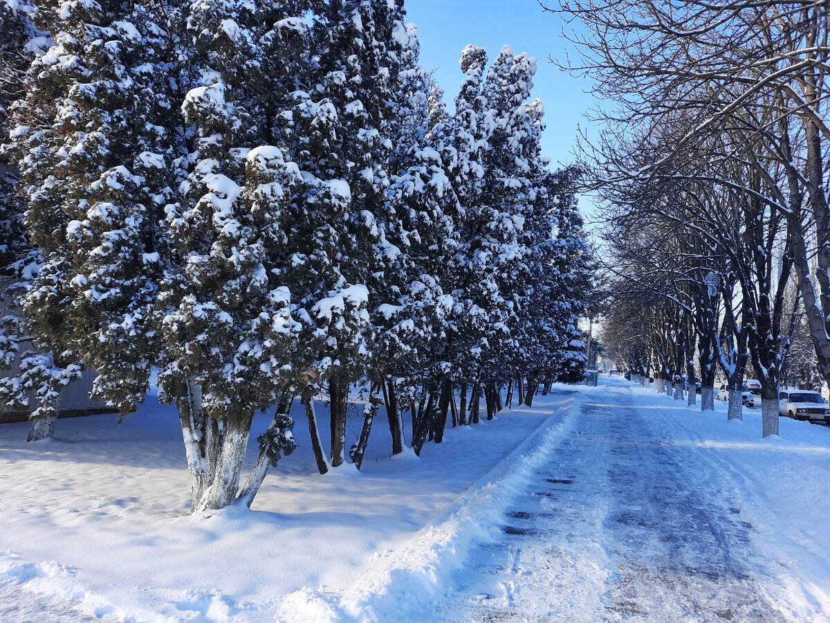 Краснодарский край Ст.Выселки 13.01.2022г. Температура-12° | Кубань Выселки  ТВ. | Дзен