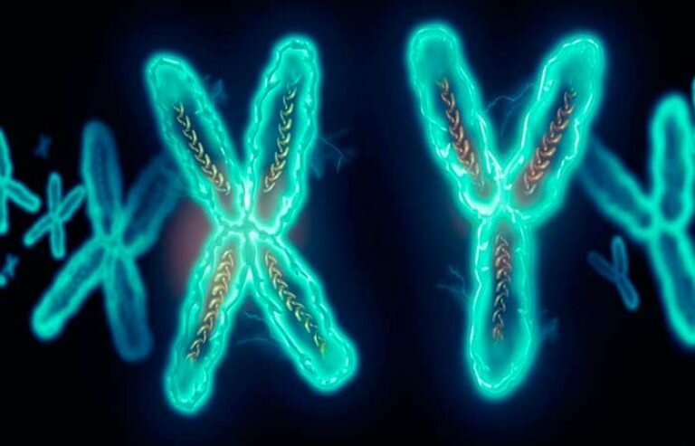 Фото из открытого доступа