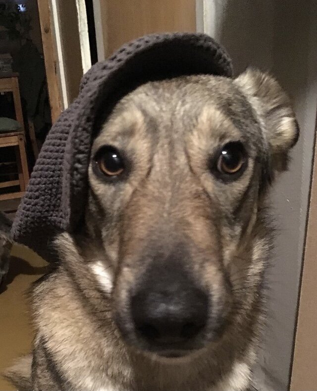 Мадмуазель
