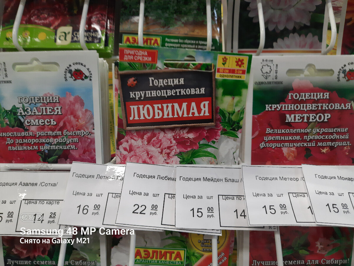 Семена