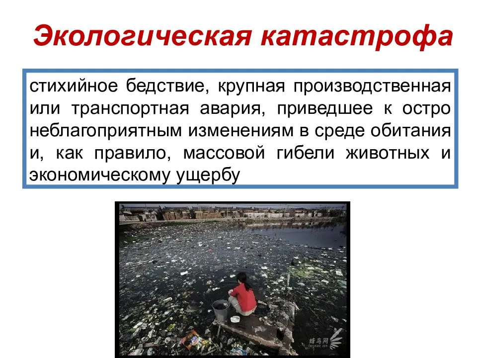 Стихийное массовое поведение людей презентация