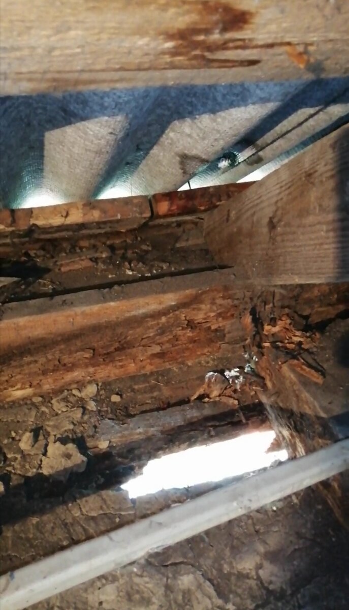 На фото несущая балка, сгнившие доски потолка и доска, которая держит стропилу.