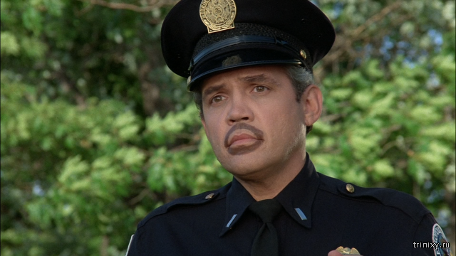 Полицейская академия...