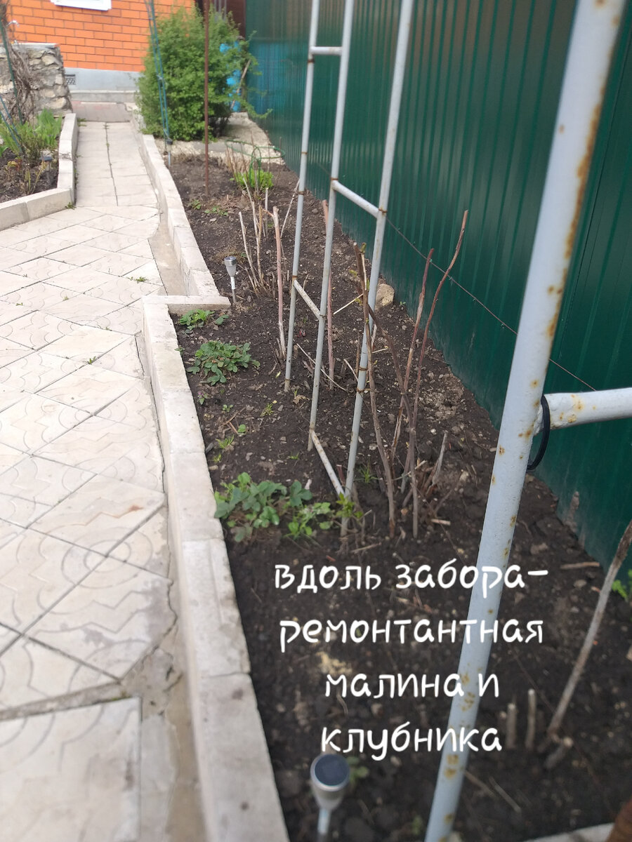 Клубники тоже чуть-чуть осталось