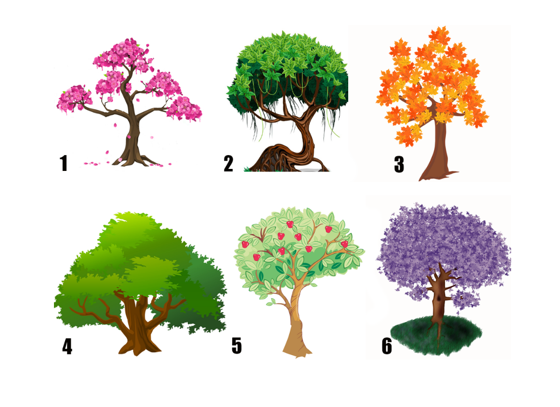 Тест выберите дерево. Психологические тесты. Тест личности деревья в картинках. Психологический тест с выбором деревьев. Тест узнай картинки