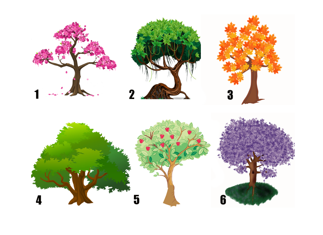 Какое дерево выбрать. Тест выберите дерево. Тест личности деревья в картинках. Выберите дерево и узнайте. Тест выбери дерево на картинке.