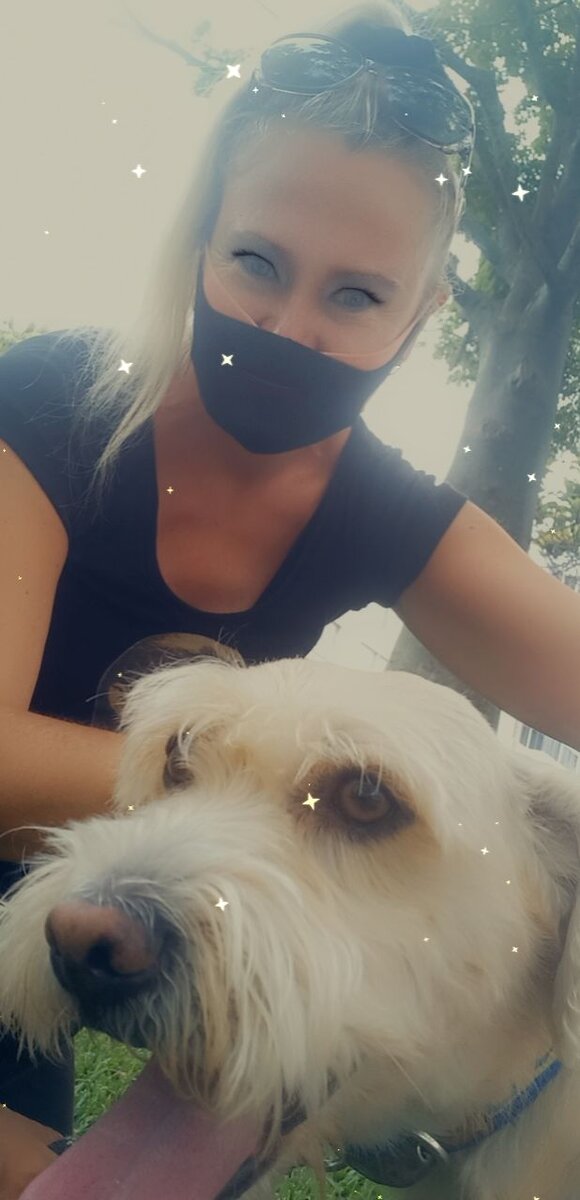 Мой