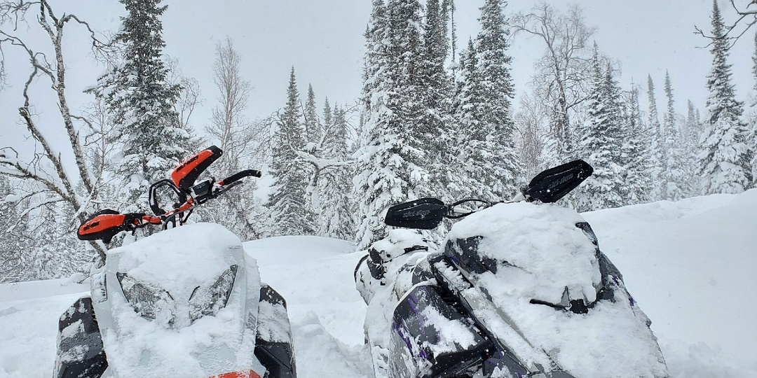 Снегоход и санкции. Часть 2.