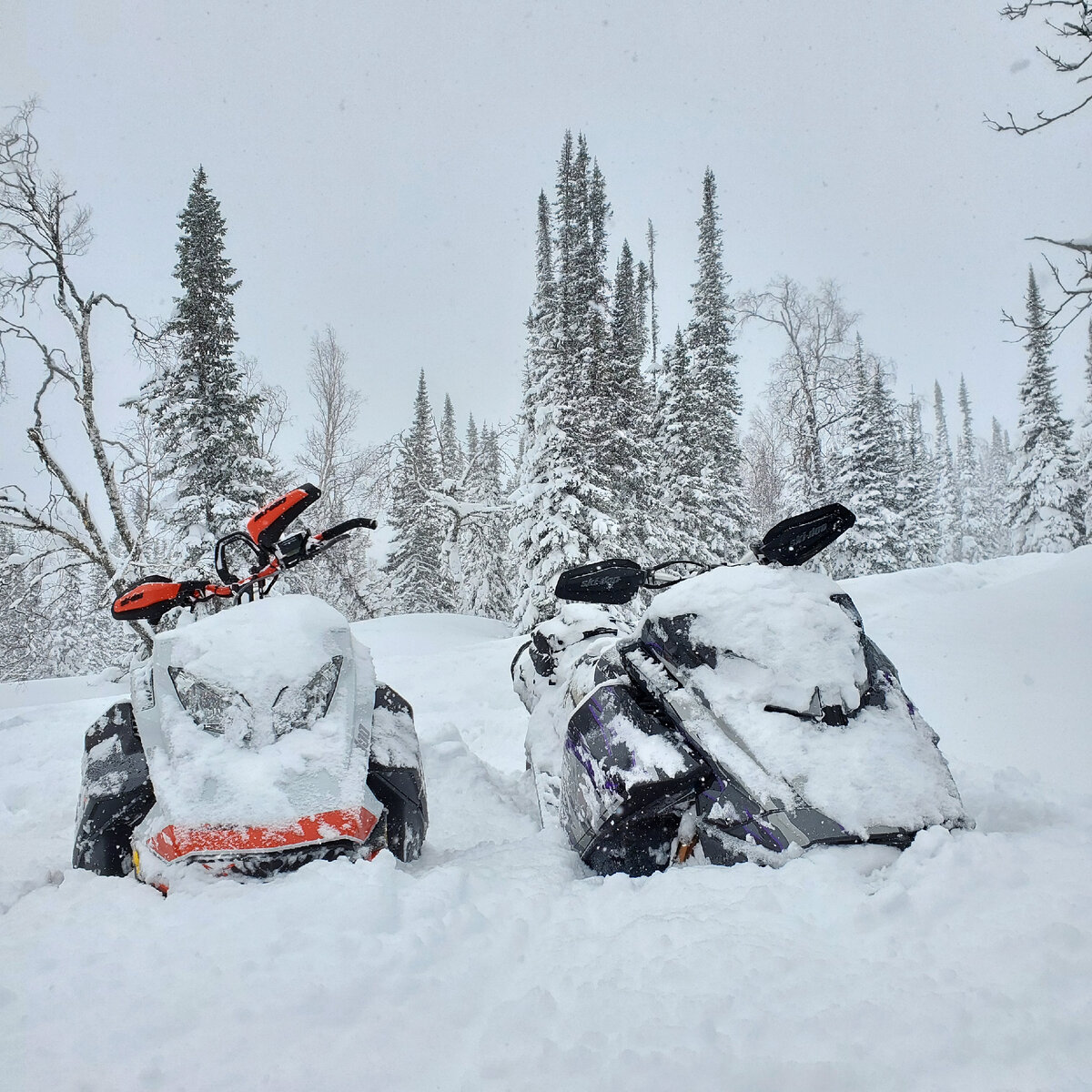 BRP Ski-Doo Summit 850X Expert 