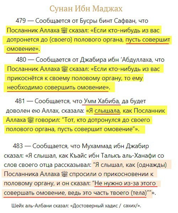 Кому пророк рекомендовал схватить зубами член собственного отца | Дмитрий Шарко | Дзен