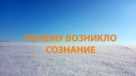 Почему возникло сознание