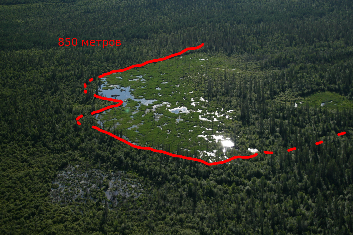 Плотина бобров в парке Вуд-Баффало, Канада.