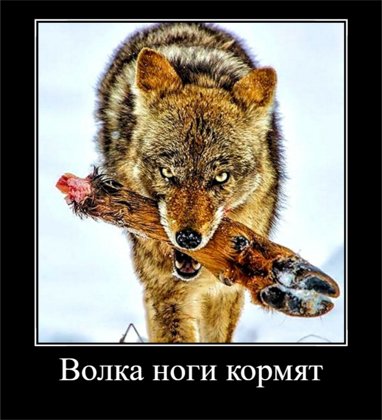 И другие части тушки тоже