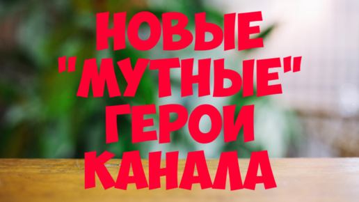 Канал все в кучу последний. Срубить бабла. Канал все в кучу последний. Канал все в кучу последний. Канал все в кучу последний.