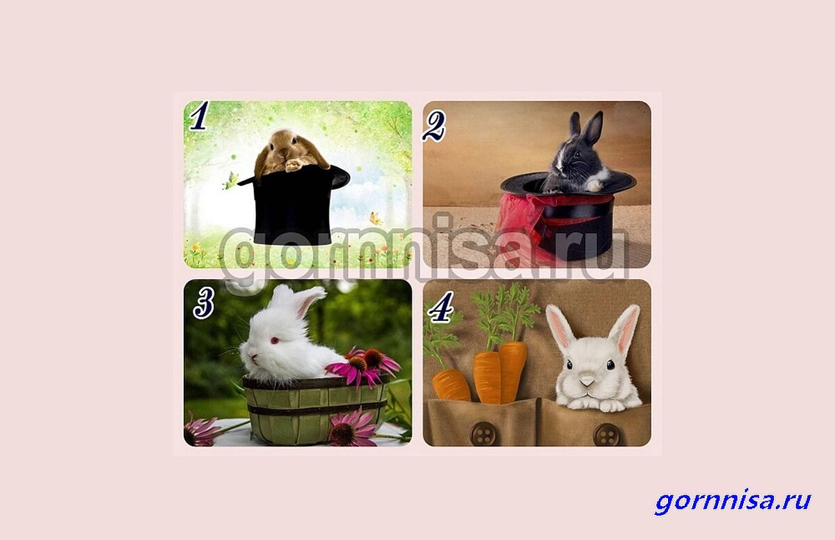    Тест на позитивный сюрприз этого года Pavlov A