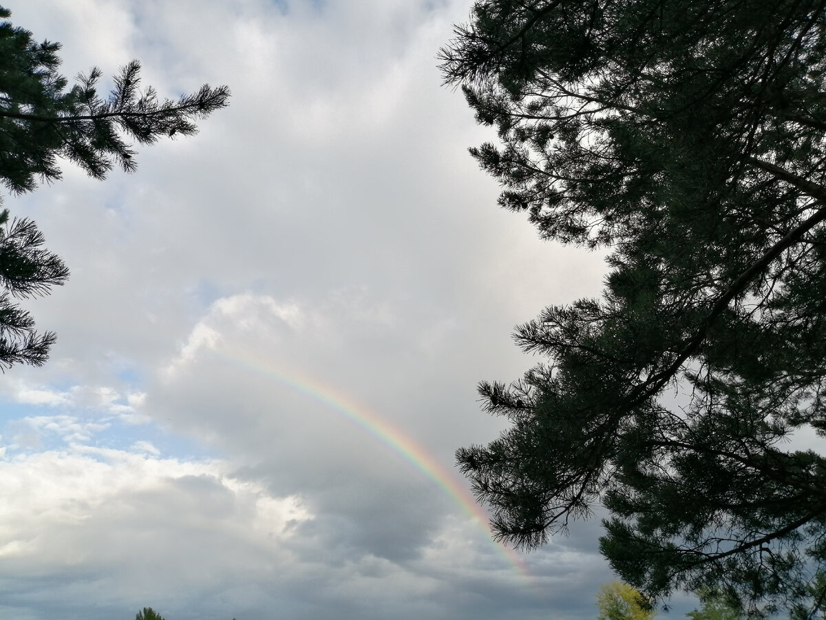 Фото из моей личной коллекции.