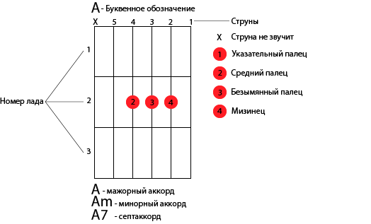 Как научиться играть на гитаре с нуля