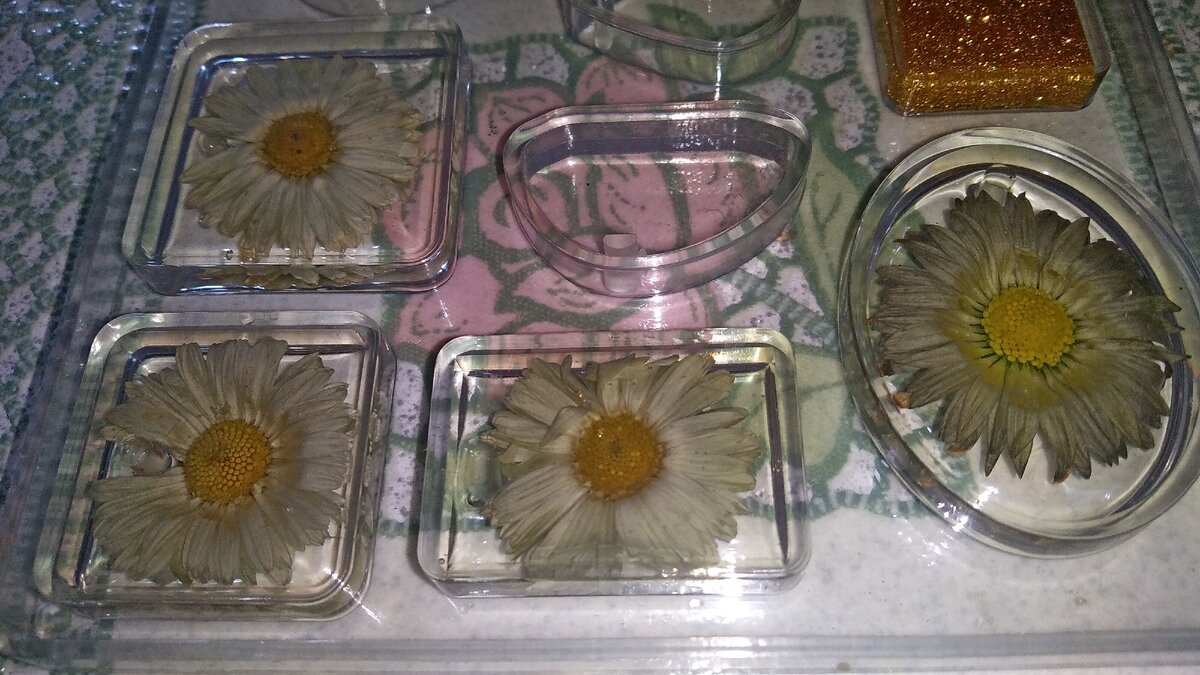 Маргаритки в эпоксидке.