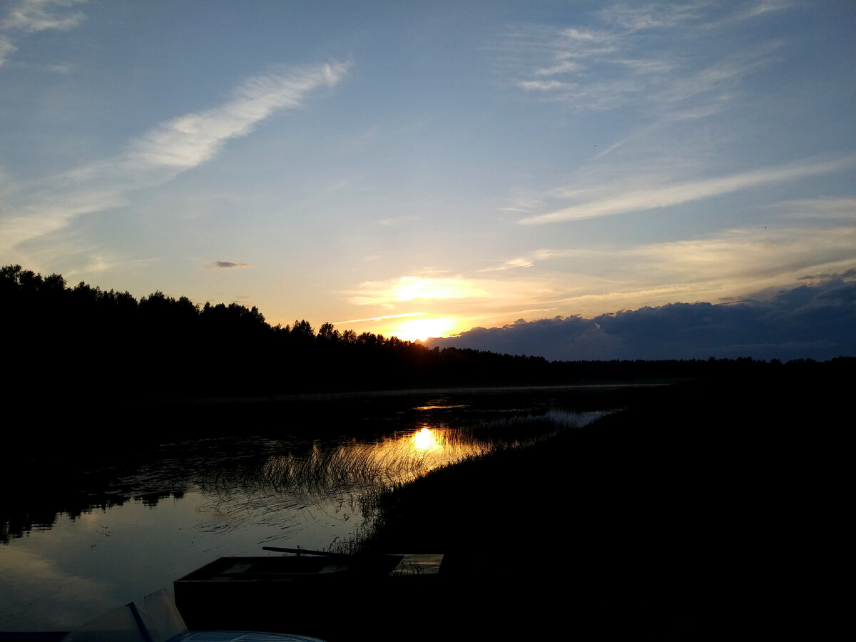 Река Молога, конец июня 2020 года.