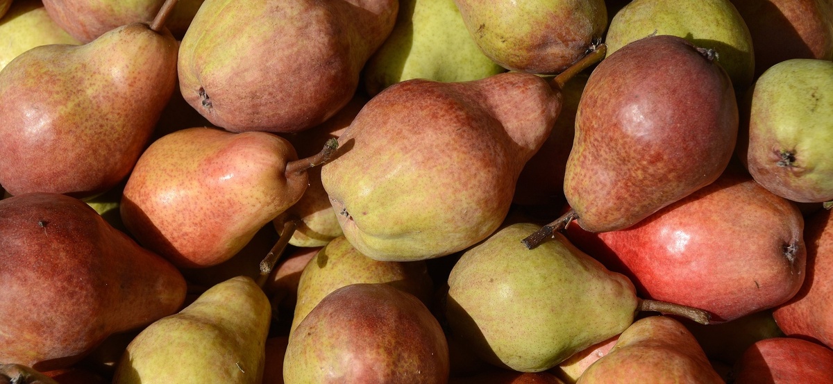 Твёрдые и мягкие плоды - на любой вкус