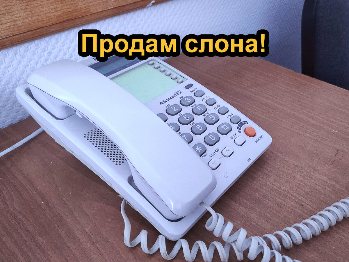 Достали спам-звонки! Что ответить, чтобы больше не звонили? | ИМХО Ultra  Technology | Дзен