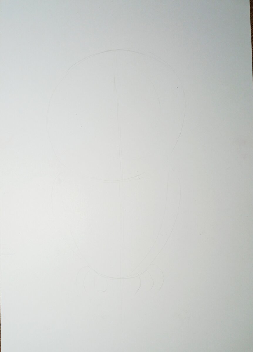 Простым карандашом средней мягкости тонкими линиями, сначала проводим вертикальную линию по центру листа, стараемся симметрично нарисовать круг(голова), вытянутый овал(туловище)