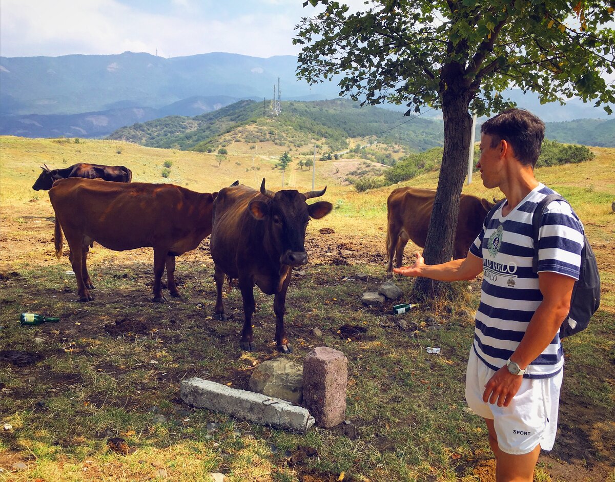 В горной деревушке, Грузия