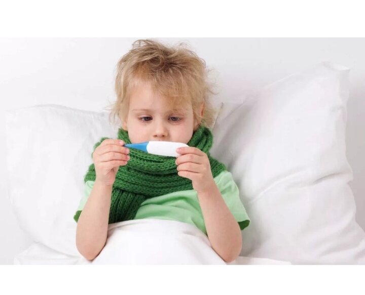 фото взято из свободного доступа в интернете 