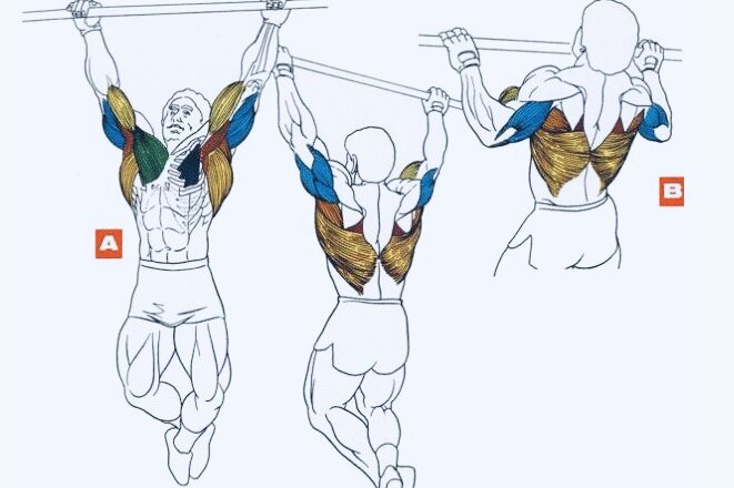 Какое упражнение эффективнее?