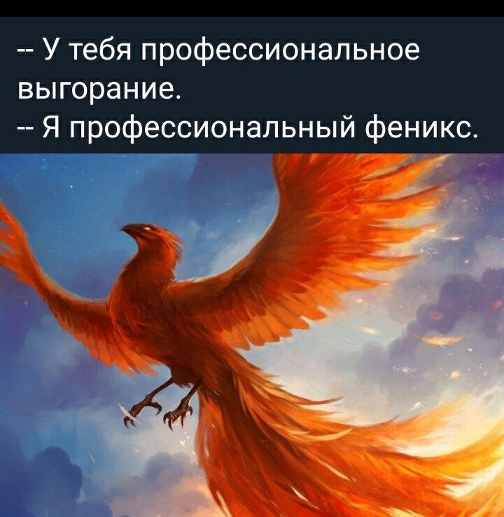 Фото из открытых источников.