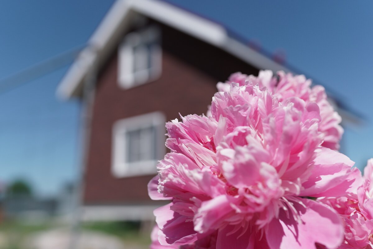 Романтика ...