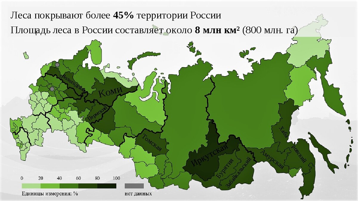 Карта с площадью