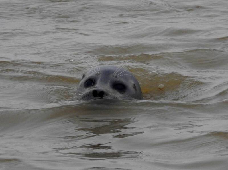 Фото предоставлены участниками экспедиции