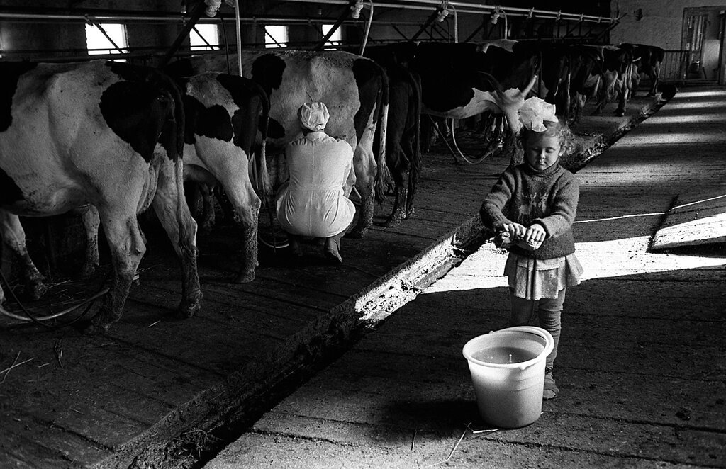 Маленькая помощница
Борис Клипиницер, 1970-е, Челябинская обл., Государственный исторический музей Южного Урала.