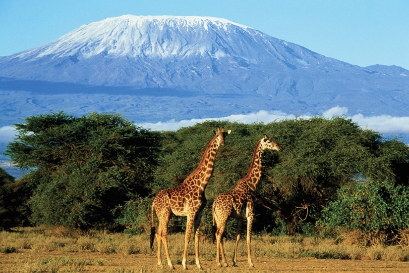https://triplook.me/ru/countries/tanzania