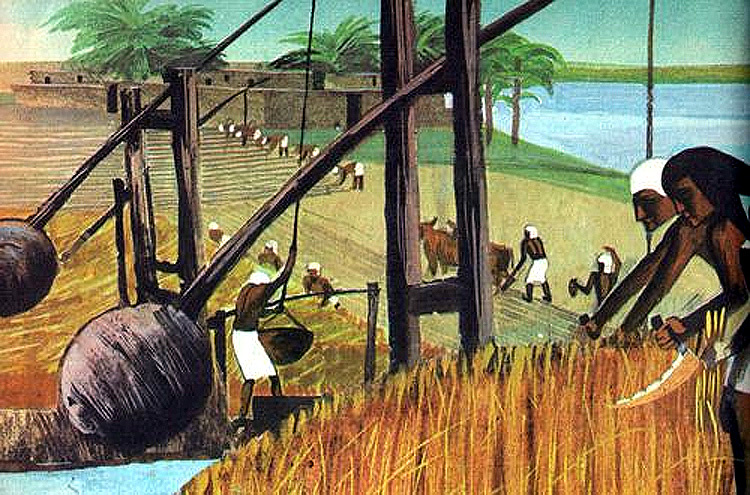 Источник: https://egyptopedia.info/i/742-irrigatsionnye-raboty