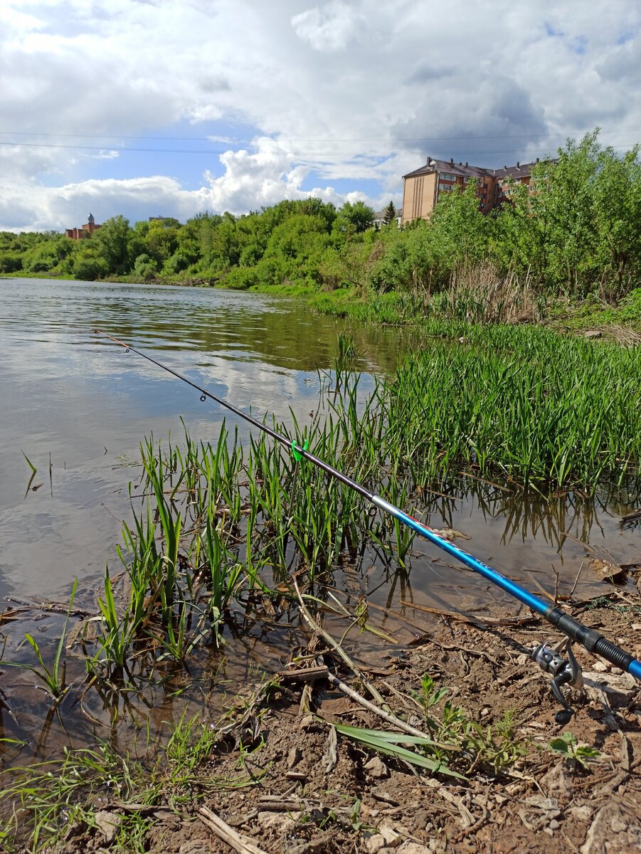 В итоги за час рыбалки, я поймал три головля  и пару сорожек. 