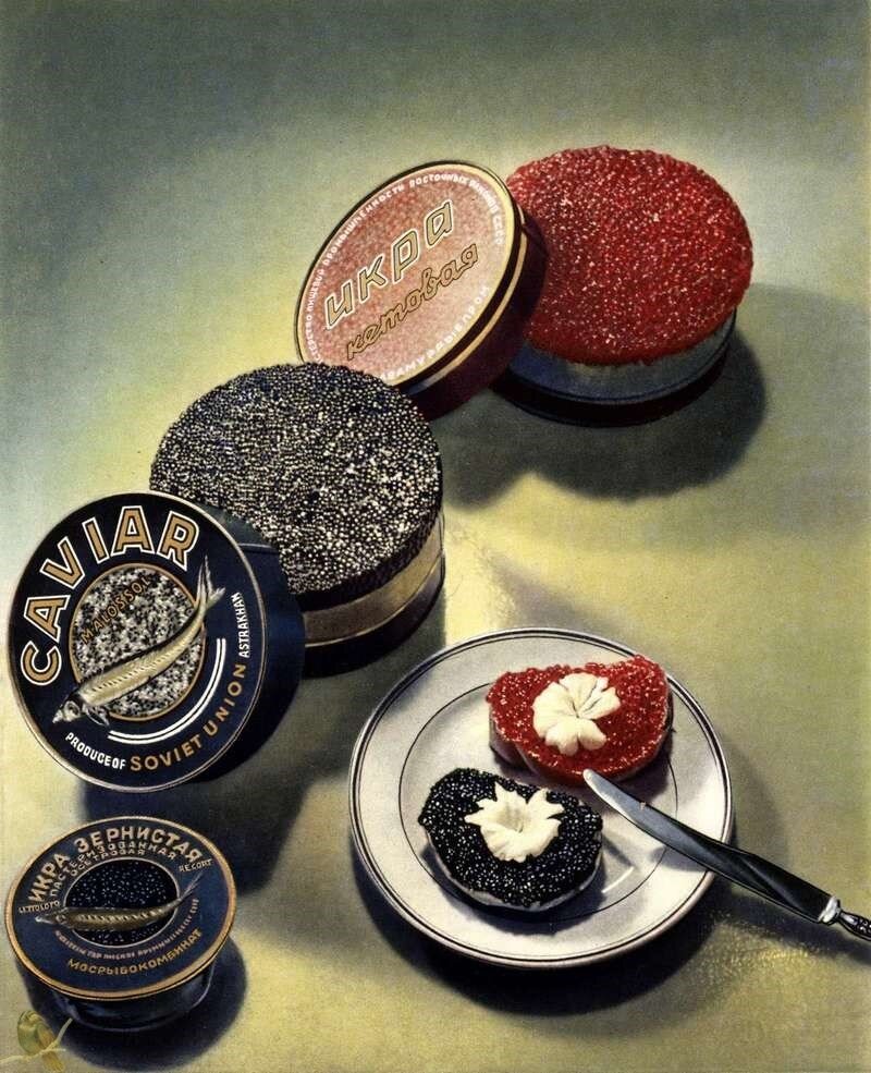 Черная и красная икра. Книга о вкусной и здоровой пище, СССР 1953г.