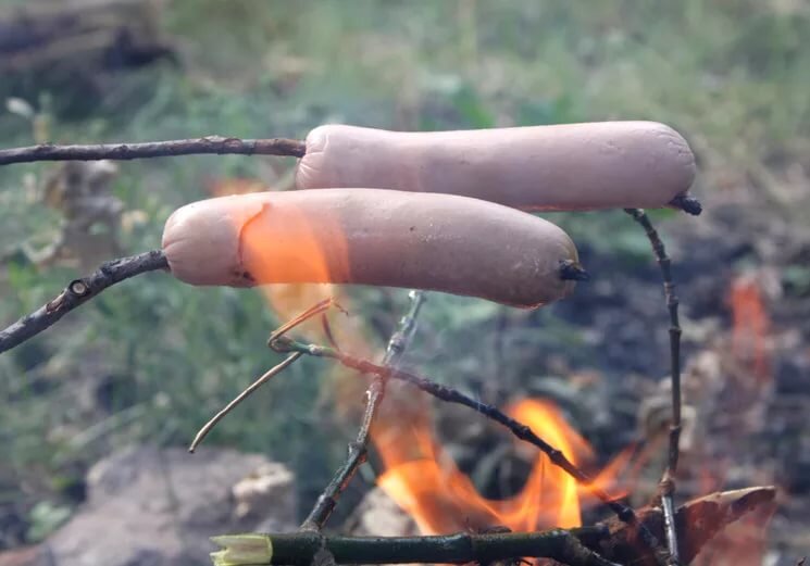 Картинка взята из открытого источника Яндекс.Картинки