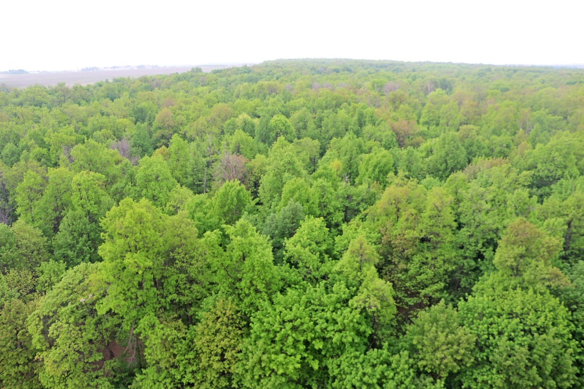 ЖК "Ясная Поляна". Все планировки и цены на сайте www.yasno21.ru