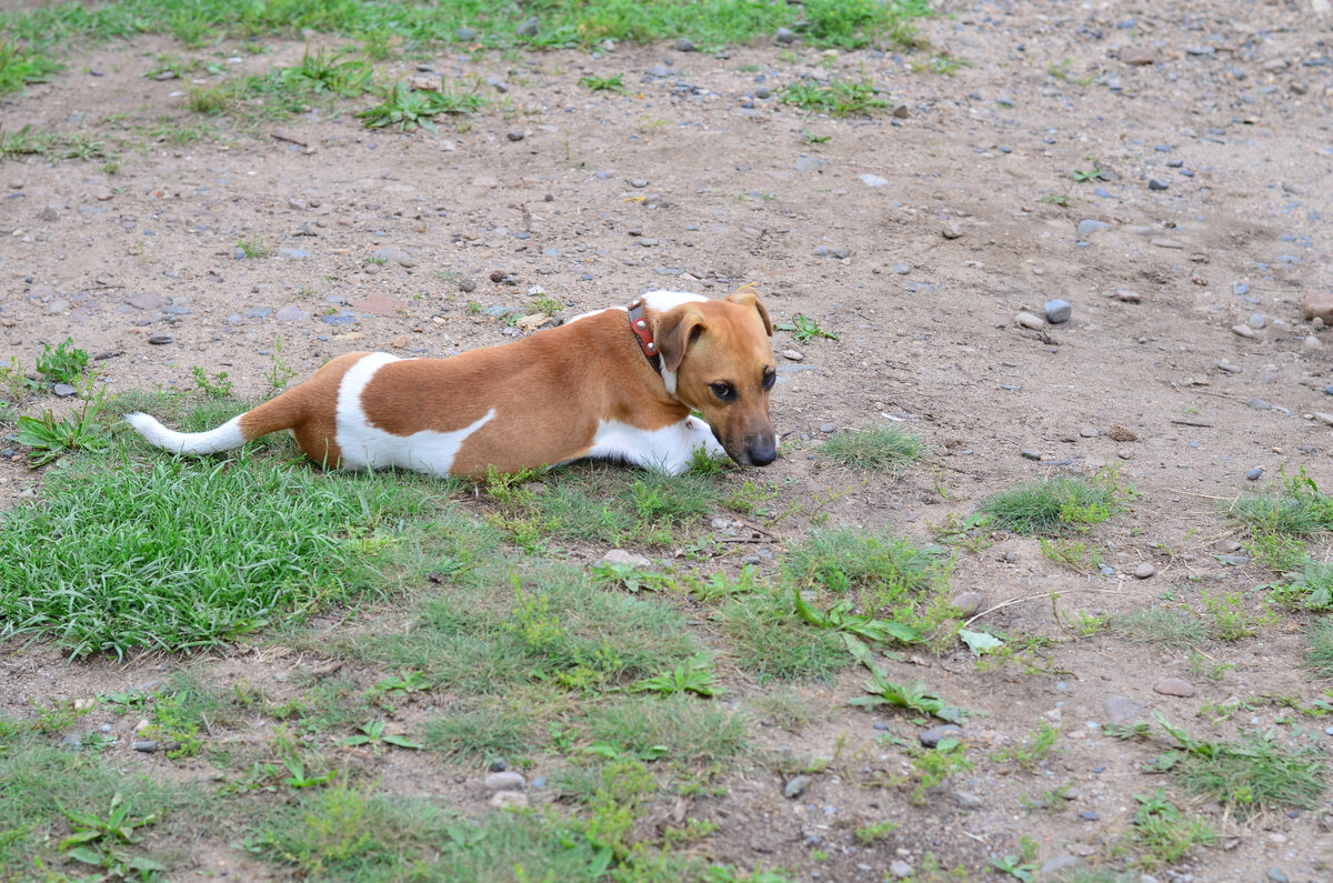  Прилег отдохнуть